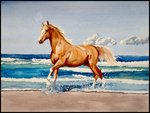 Surf Horse