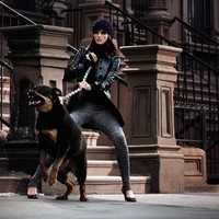 Cool Down Doggy!! its only the Postman 