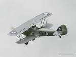 hawker hind, 