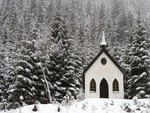church in the forest