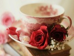 Tea with roses