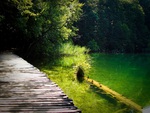 Plitvice lakes