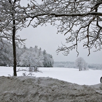 Winter Wonderland II