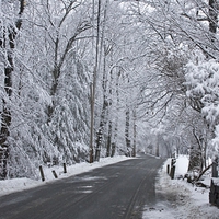 Winter Road