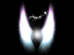 â•°â˜†â•®áƒ¦ â€ Angels Wingâ€áƒ¦ â•°â˜†â•®