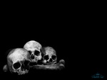 3 skulls