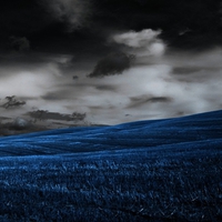 the rise of the blue grass