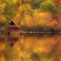 Autumn at the lake