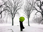 â•°â˜†â•®áƒ¦ â€alone with green umbrellaâ€áƒ¦ â•°â˜†â•®