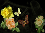 â•°â˜†â•®áƒ¦ â€roses & butterfly â€áƒ¦ â•°â˜†â•®