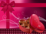 áƒ¦ â€â¤Hearts & chocolateâ¤â€áƒ¦