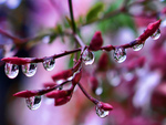 Droplets