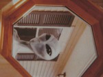 Alien In Octagon Window