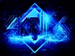 Black And Blue Skrillex