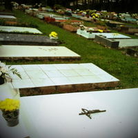 Peace belong to Death.