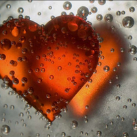 Orange Hearts