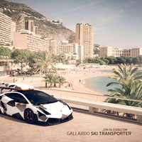 lamborg gallardo