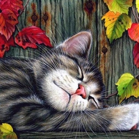 Another sleeping cat. I. Garmashova