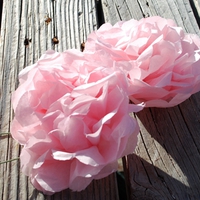 Happy Birthday, Gayatri â™¡