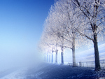 winter fantasy