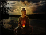 Lotus Buddha