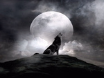 moon_wolf