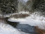 Winter Stream
