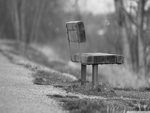 bench
