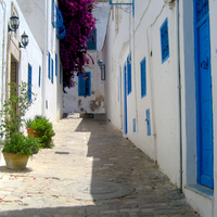 Sidi-Bou Tunisia