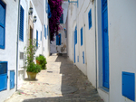 Sidi-Bou Tunisia