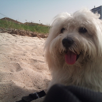 Nico is a friki cotton