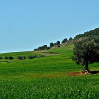 Bulla Reggia Tunisia