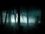 Dark Forest