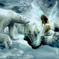 Winter Fairy