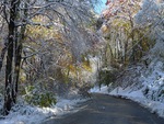Winter Road