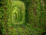 Green train tunnel