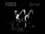 Power of Horses
