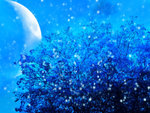 winter_fantasy