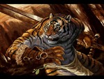 Tiger Warrior