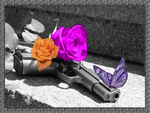 â€áƒ¦*â€¢*â–â€ butterfly, gun & rosesâ€áƒ¦*â€¢*â–â€