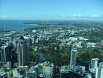 Auckland city on a summers day