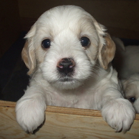 I'm getting bored in here, can I come out now?