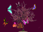 â€áƒ¦*â€¢.¸¸.â€¢*â–â€butterflies @ the apple tree â€áƒ¦*â€¢.¸¸.â€¢*â–â€