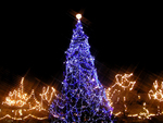 â€áƒ¦*â€¢.¸¸.â€¢*â–â€XMAS IN TOWNâ€áƒ¦*â€¢.¸¸.â€¢*â–â€