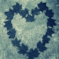 A fall heart