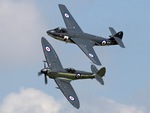 Seahawk and Seafire