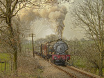 Steam Train