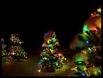 Christmas_Lights