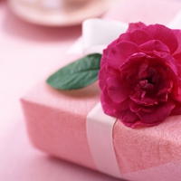 Happy Birthday, Darkspirit â™¡