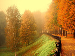 Misty Autumn